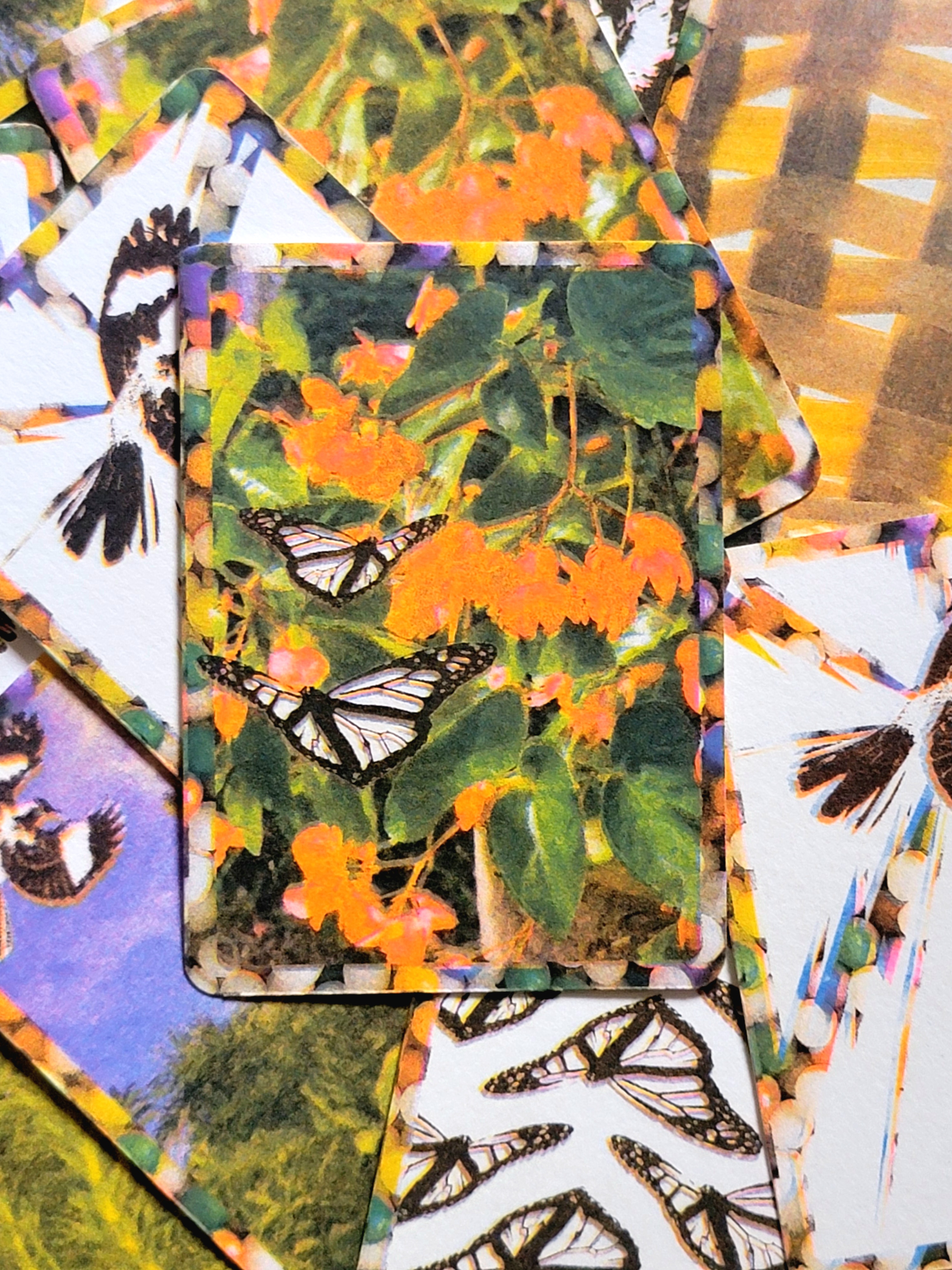 una_caridad_trading_cards